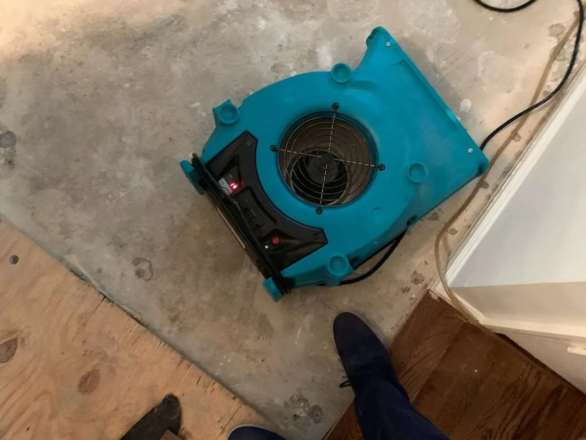 Air mover drying subfloor during Leak Detection & Repair in Torrington